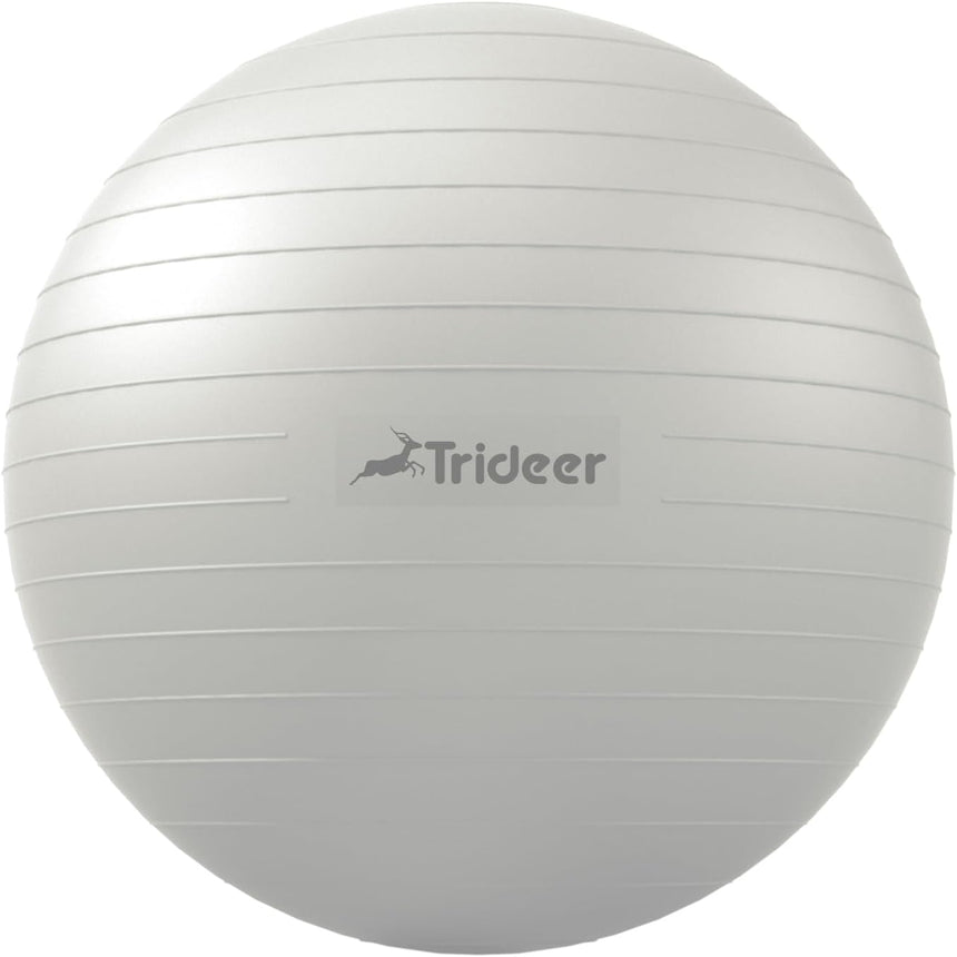 Trideer Extra Thick Yoga Exercise Ball