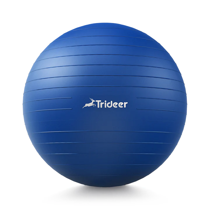 Trideer Extra Thick Yoga Exercise Ball